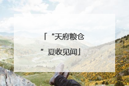 “天府粮仓”夏收见闻